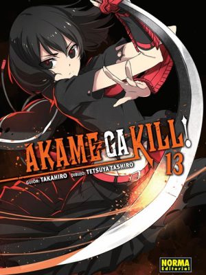 Akame Ga Kill #13 (Norma)
