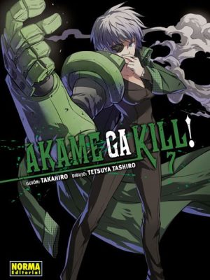 Akame Ga Kill #07 (Norma)