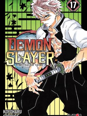 Demon Slayer - Kimetsu No Yaiba #17 (Ivrea Arg)